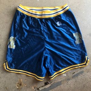 Vintage Michigan starter shorts size M